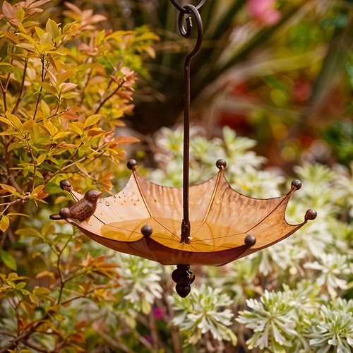 Hanging bird feeder - hanging, bath