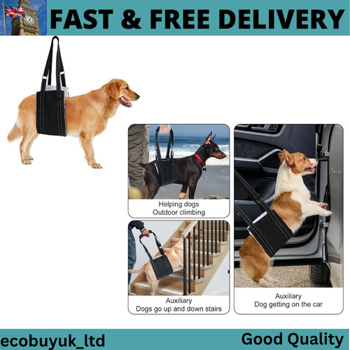 Pet dog mobility - mobility, support