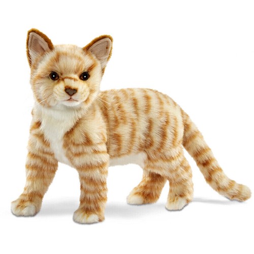 Hansa standing ginger tabby - standing,
