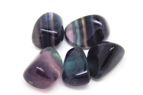 Craftmoor large healing - large,