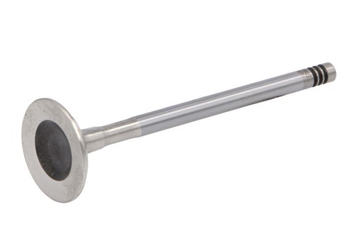 Fits v94403 exhaust valve - fits, ae