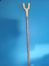 A Burr Top Thumb Stick Fruit Wood Shank A Comfortable Stick