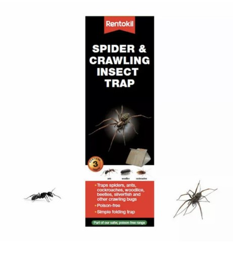 Rentokil spider crawling - rentokil,