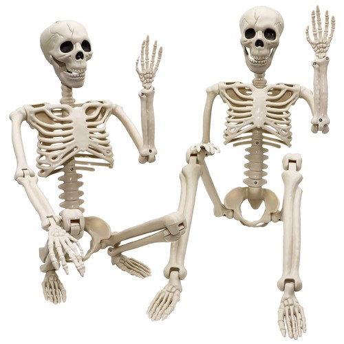 Pack halloween skeleton - pack,