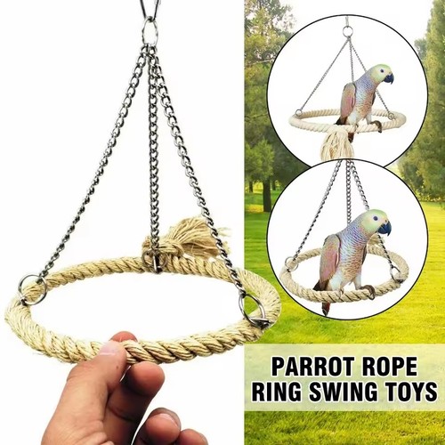 Bird cage swing - bird,