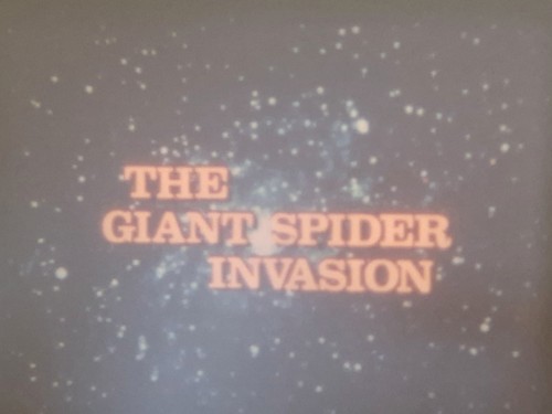 The giant spider invasion - the,