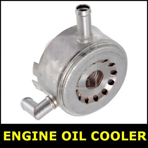 Engine oil cooler - engine, nissan