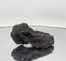 Fossil Wood Quartz Crystal