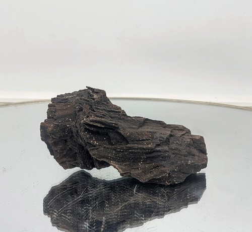 Fossil wood quartz crystal - quartz,
