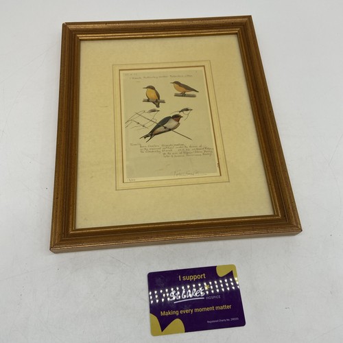 Peter scott framed - scott, signed