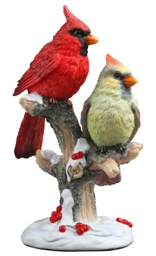 Cardinal bird couple perching - couple,