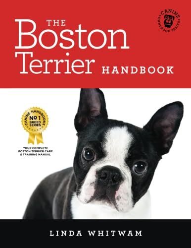 The boston terrier - the,