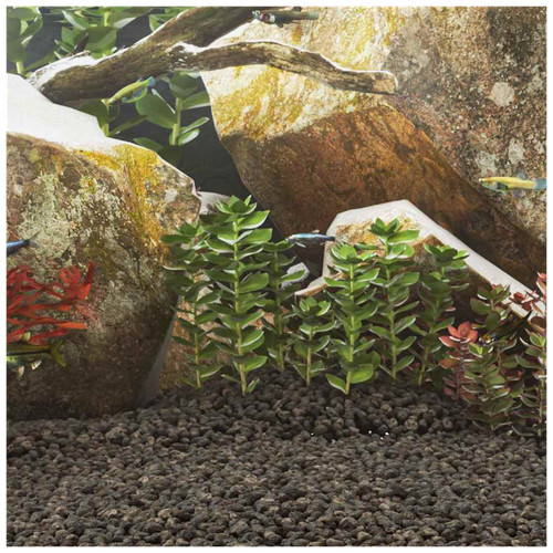 Volcanic rocks black - volcanic,