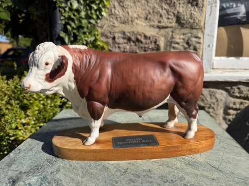 Beswick connoisseur polled - beswick,