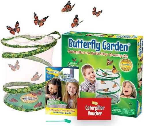 Butterfly garden grow your - garden, own