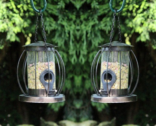 Wild garden bird seed - x,