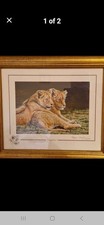 Stephen Gayford Lion Print