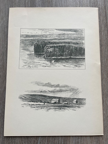 1881 print the calf - print, eday