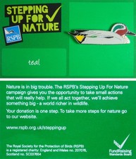 RSPB Pin Badge SUFN Teal (2012
