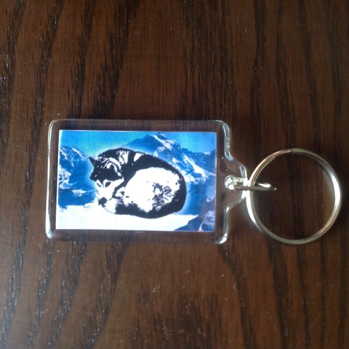 Sled dog spirit personalised - sled,