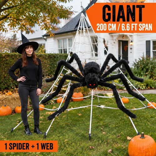 Giant halloween spider outdoor - halloween,