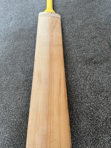 Keeley grade cricket bat - keeley,