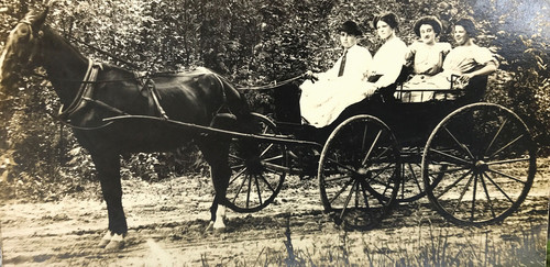 Antique vtg rppc horse - antique,