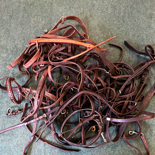 Job lot bridles - lot, misc