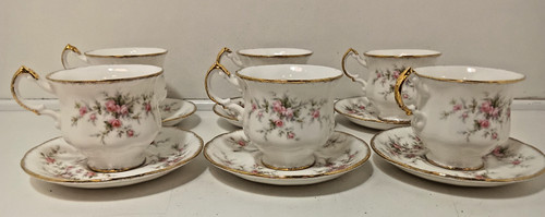 Paragon victoriana rose - paragon, 6
