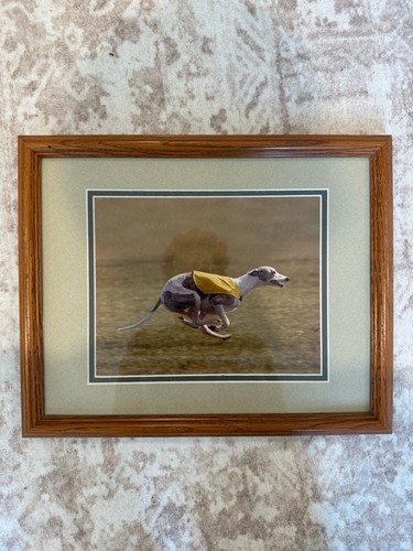 Framed whippet lure coursing - lure,