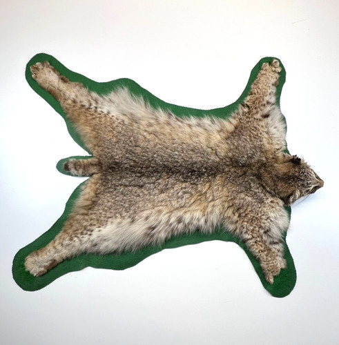 Vtg bobcat taxidermy rug - vtg.,
