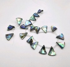 ABALONE 20X18MM FAN SHAPED