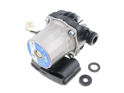 Genuine glow worm saunier - glow-worm,