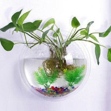  Fish Wall Vase Wall-mounted Tanks Automtic Feeder Aquarium Decoration
