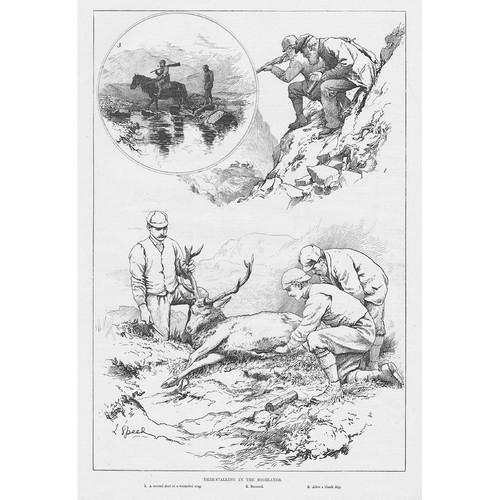 Scotland deer stalking - scotland, the