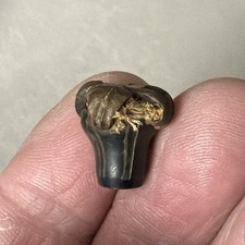 Medieval Ecclesiastical