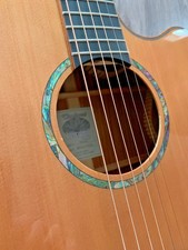 Tanglewood TRS4CE  Electro