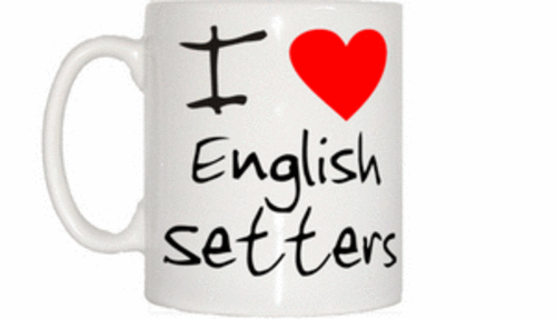 Love heart english setters - english,