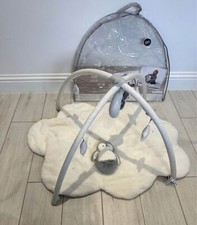 baby playmat & gym wish upon