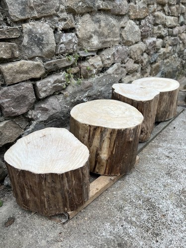 Rustic tree - rustic,