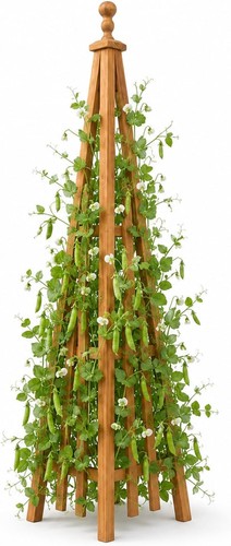Wooden obelisk trellis the - obelisk,