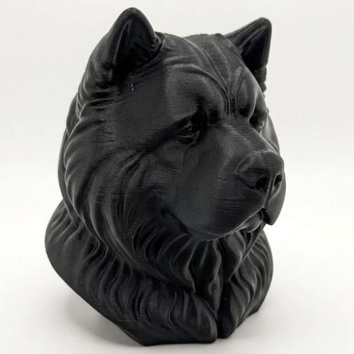Chow dog - chow, bust