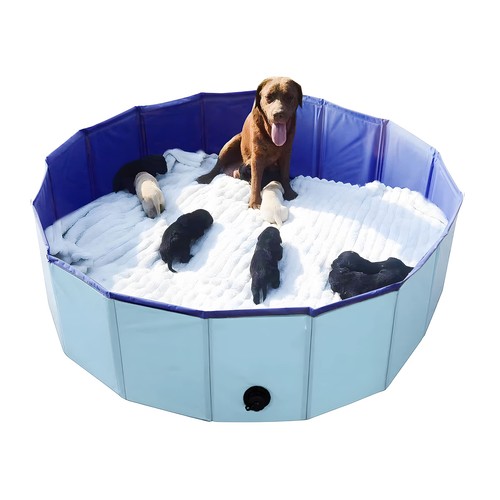 Artilife whelping box - whelping,