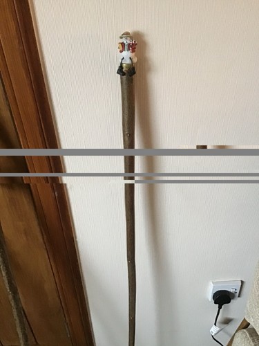 Hand crafted walking sticks - hand,