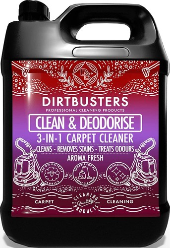 Dirtbusters carpet cleaner - carpet,