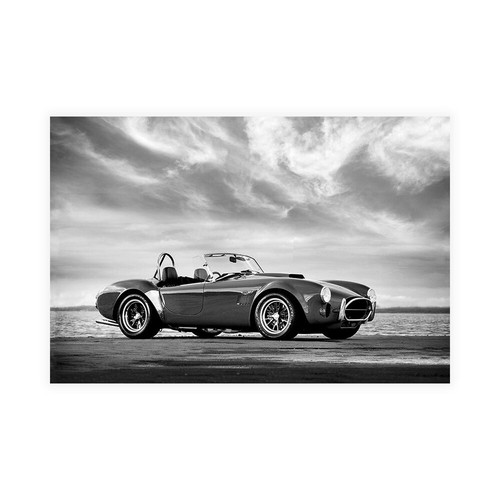 Rogan mark shelby cobra - rogan,