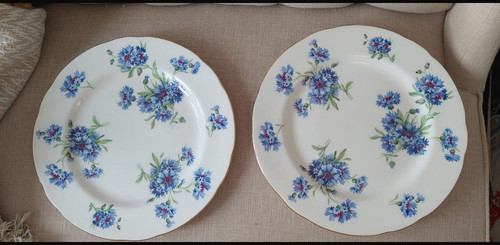 Hammersley set of 2 - &, bone