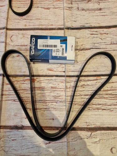 Dayco ribbed belt 6pk1451 - v-ribbed,