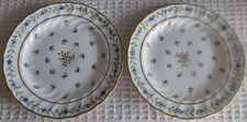 2 Antique Royal Worcester T Goode & Co Floral Side Plates
