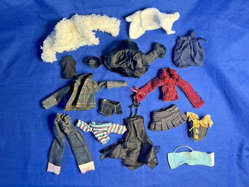 Bratz smart clothes bundle